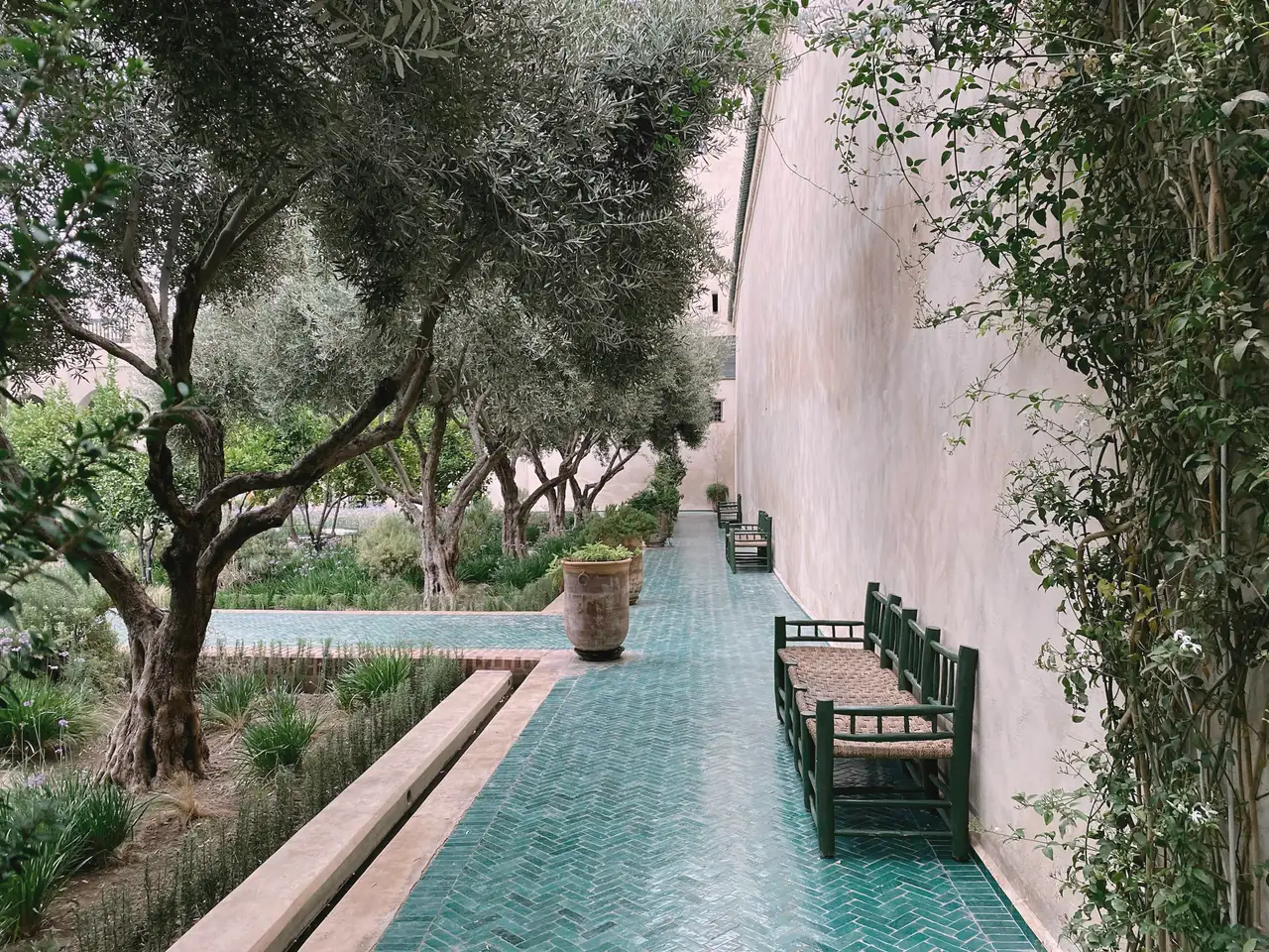 The riad garden, olive trees and a zellige path